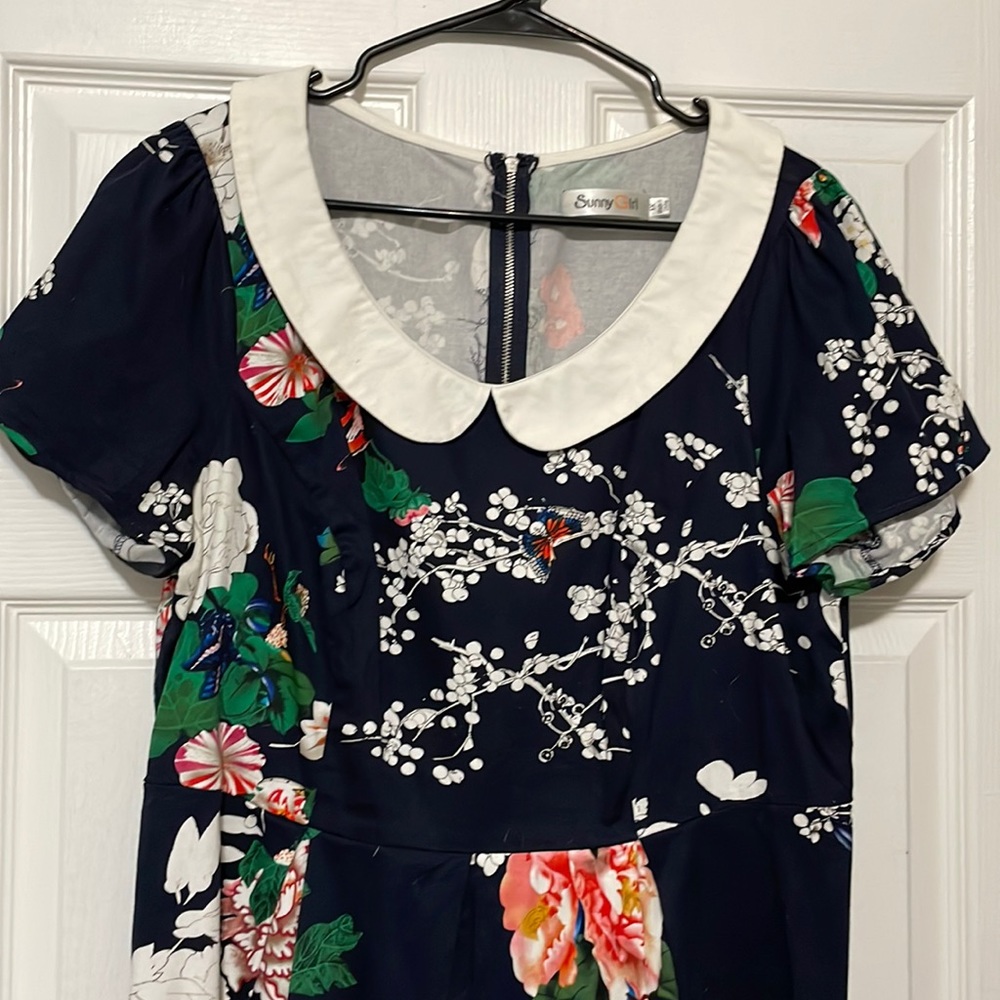 Sunny Girl Peter Pan Collar Dress, 1X